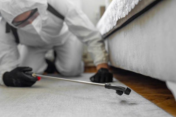 Professional Cockroach Control technician working in Granite Shoals, TX