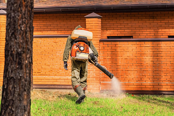 Trusted Bed Bug Control service in Granite Shoals, TX - Nex Pest Control